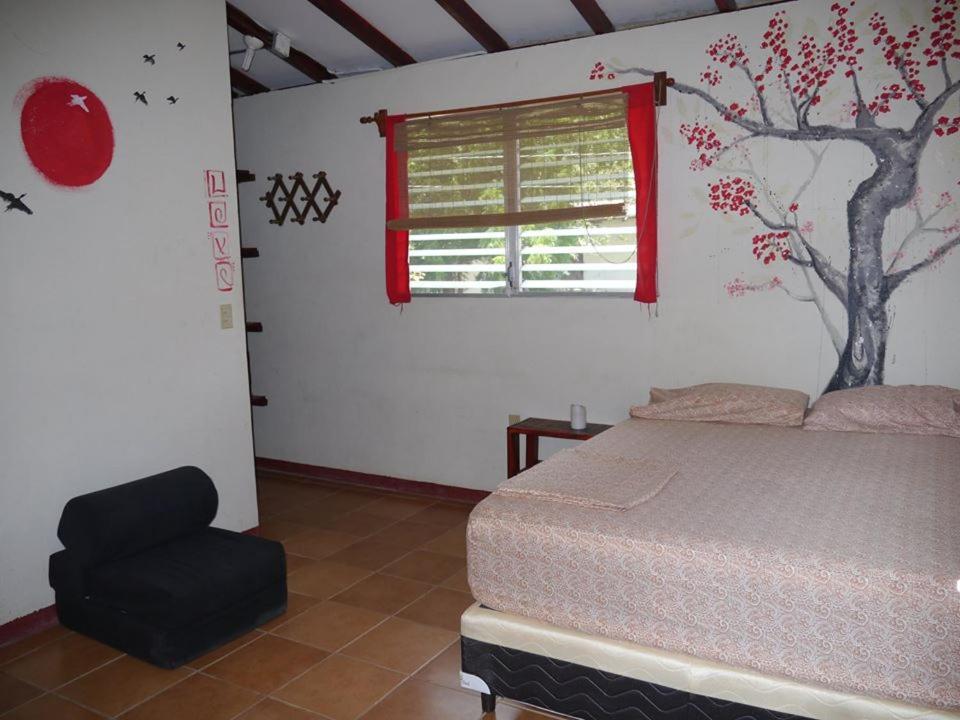 Free Spirit Hostel Transito Exterior photo