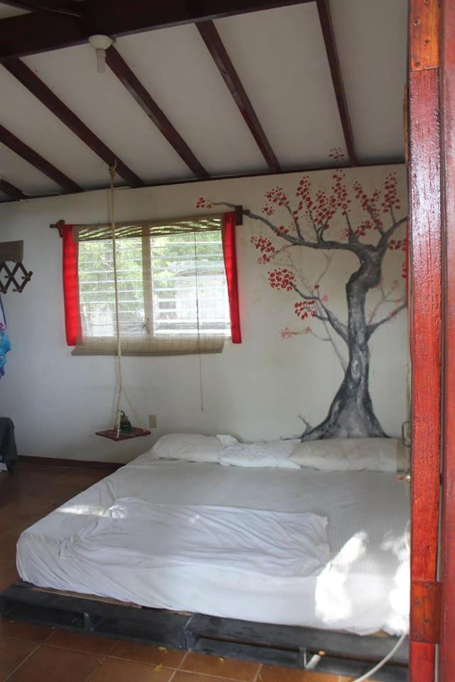 Free Spirit Hostel Transito Exterior photo